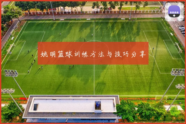 姚明篮球训练方法与技巧分享