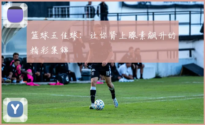 篮球五佳球:让你肾上腺素飙升的精彩集锦