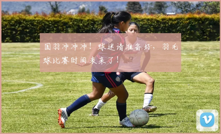 国羽冲冲冲！球迷请准备好，羽毛球比赛时间表来了！