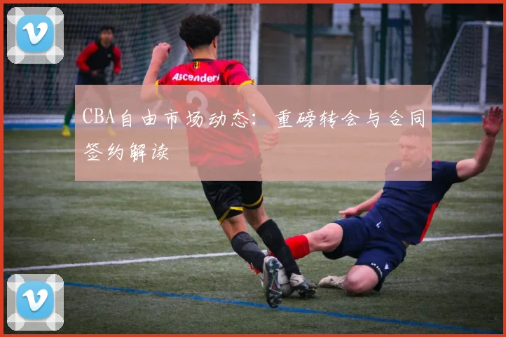 CBA自由市场动态：重磅转会与合同签约解读