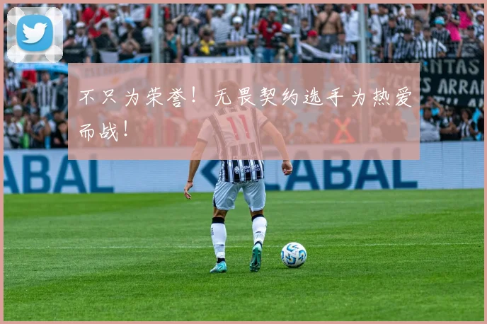 不只为荣誉！无畏契约选手为热爱而战！