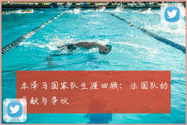 本泽马国家队生涯回顾:法国队的贡献与争议