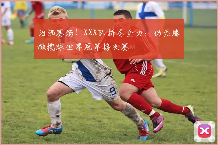 泪洒赛场!XXX队拼尽全力,仍无缘橄榄球世界冠军榜决赛
