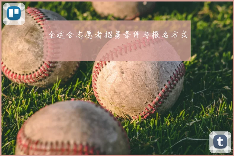 全运会志愿者招募条件与报名方式