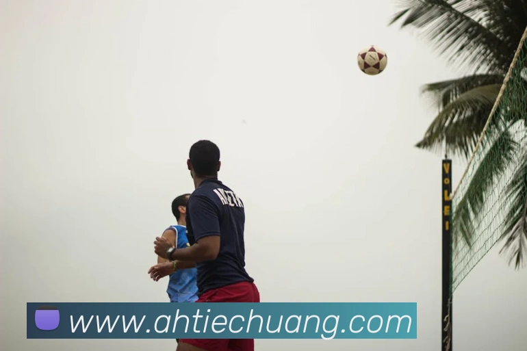 奖项证书
